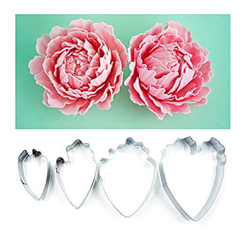 sypure (TM) dans le monde entier 4 Cœur en acie...