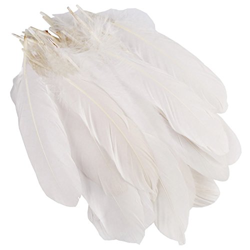 50pcs blanc naturelles plumes d'oie artisanat b...