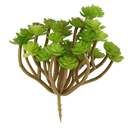 Plante Succulente Artificielle Décoration pour ...