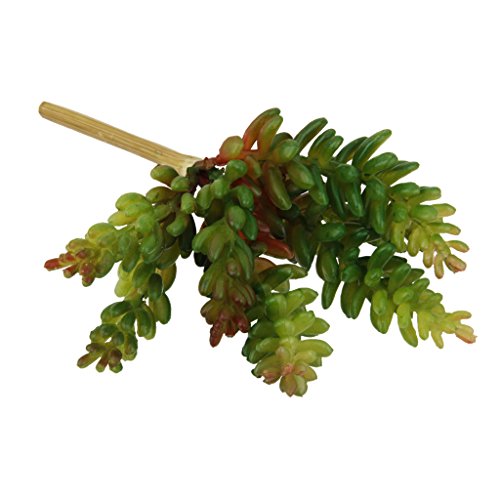 Plante Succulente Artificielle 7-Branches Décor...