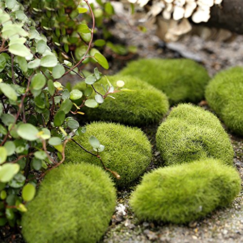 Bidyn bidyn (TM) en mousse vert mousse Faux Pierre Rock Micro Paysage décoratif décoration de Noël Maison Jardin Décoration DIY Micro qb024-sz 0769572431543 (0769572431543)