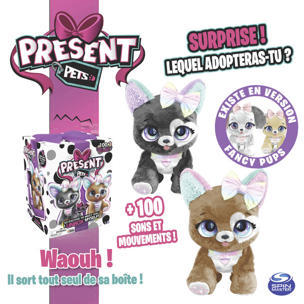 Present Pets Surprise