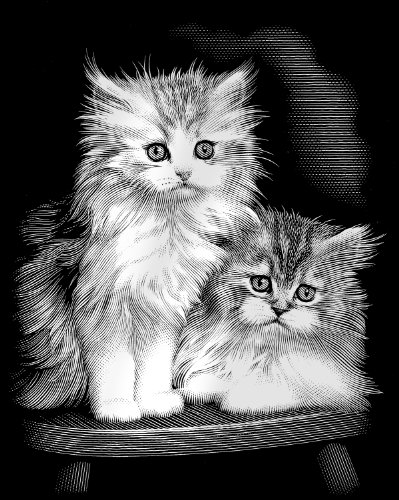 Scraper kratzbild-moelleux pour chat-pack-chat ...