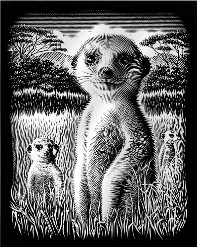 Gravure macaques en feuille d'aluminium argenté...