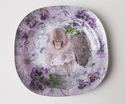 MyFancyCraft Découpage fait main en verre plaque Singe original Table Decor cadeau idées 0781307908670 (0781307908670)