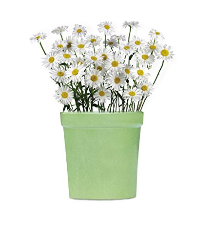 9,1cm céramique planteur pour intérieure et ext...