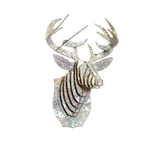 CARDBOARD SAFARI BUCKY LONDRES médium, cerf trophée en carton, Cardboard Safari code EAN 0813565013237 