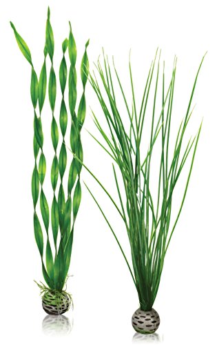 Biorb biOrb Grandes Plantes 0822728002179 (0822728002179)
