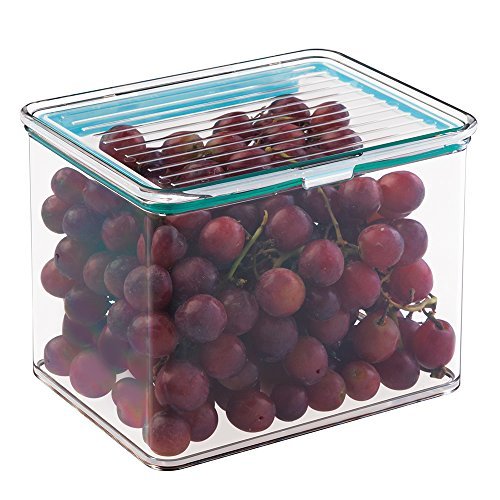 MetroDecor Bac de rangement pour aliments avec couvercle à charnières hermétique -1,8 l., Transparent 0841247112992 (0841247112992)