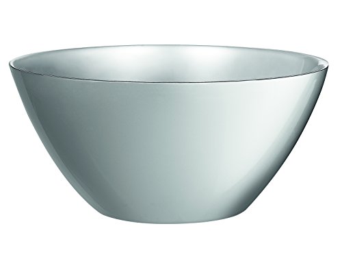 8011471 flashy colors saladier argent gris clai...