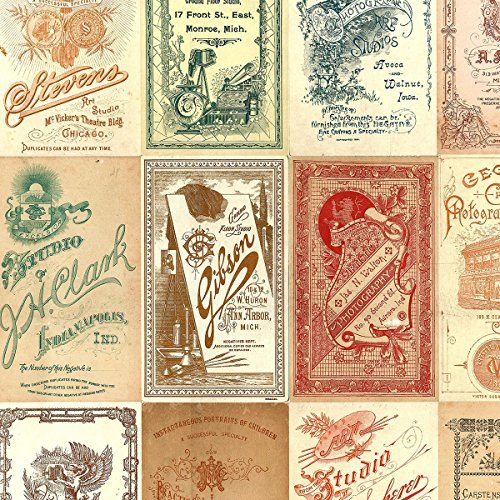 Freespirit Fabrics Eclectic elements-tim holtz 45-inch wide photo card 100-percent cotton, 8-yard 0884424161048 (0884424161048)