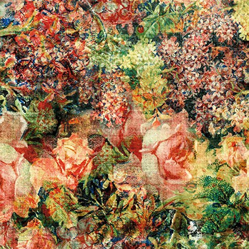 Freespirit Fabrics Eclectic elements-tim holtz 45-inch wide bouquet 100-percent cotton, 8-yard 0884424161055 (0884424161055)