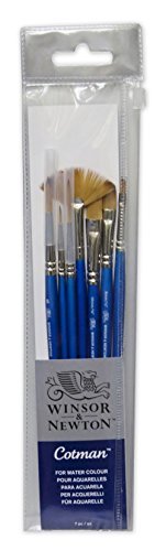 Winsor Newton Cotman Kit aquarelle & Pinceaux-P...