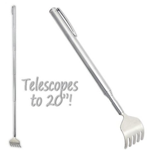 lot de 2 gratte dos télescopiques en acier et a...