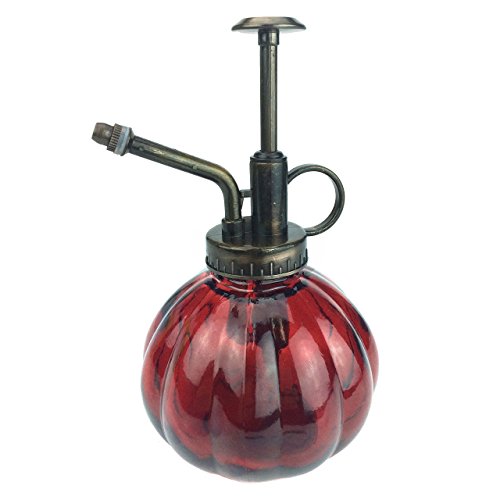 Pot de plantes à côtes Vaporisateur avec pompe ...