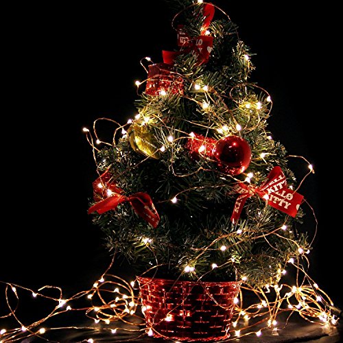 ENGIVE EnGive Guirlande Lumineuses Lumières de Noël Décoration Intérieur / Extérieur Guirlande lumineuse led lampe éclairage 0888073918091 (0888073918091)
