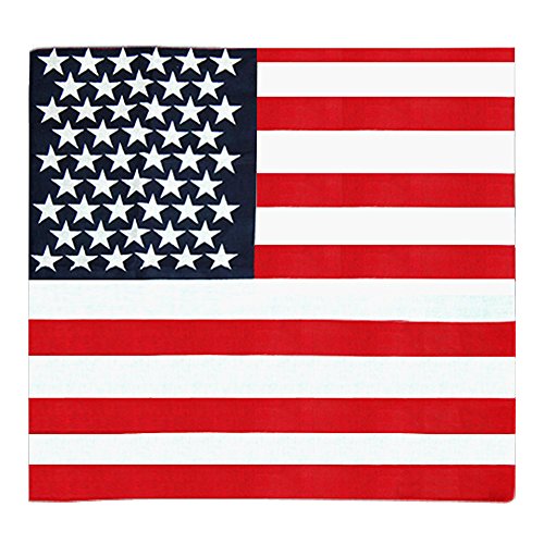 Bandeau de cheveux de drapeau americain bleu et...