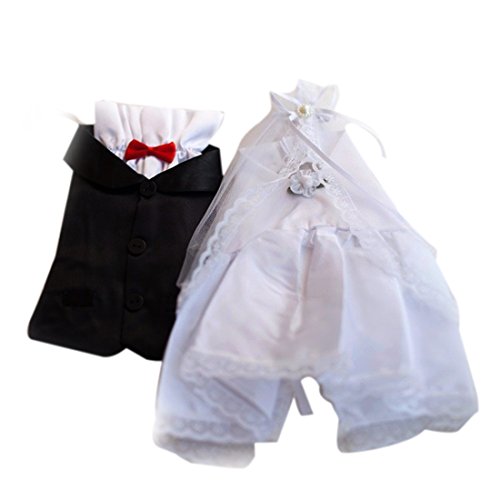 2 Pcs Verre à vin Bouteille de champagne mariée...