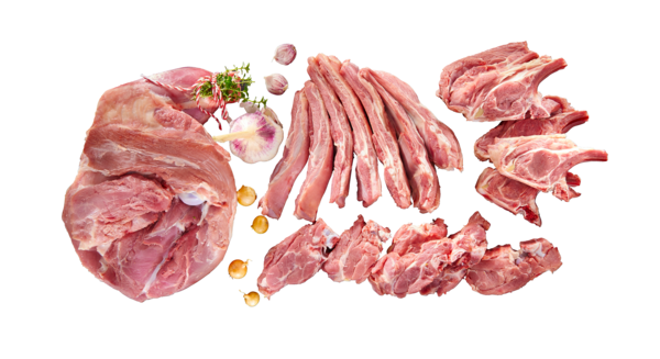 AGNEAU : QUART AVANT ( COLLIER** , POITRINE**, ...