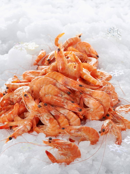  CREVETTES CUITES DE 20 À 30 PIÈCES AU KILO  code EAN 0972000000519 