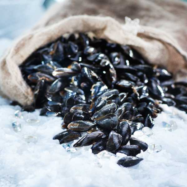  MOULES D'ESPAGNE  code EAN 0972000000520 