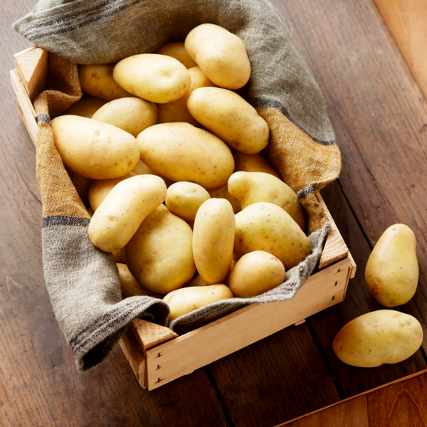  POMME DE TERRE DE CONSOMMATION  code EAN 0972000000628 