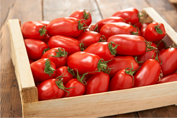  TOMATE ALLONGÉE  code EAN 0972000000631 