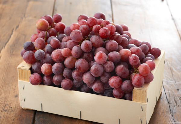  RAISIN ROSE  code EAN 0972000000639 