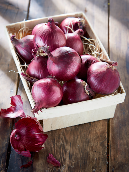 MON MARCHÉ PLAISIR OIGNON ROUGE 
 code EAN 0972000000761 