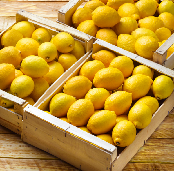  CITRON  code EAN 0972000000762 