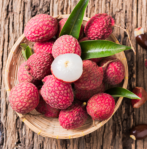 LITCHIS 1000000000002 LITCHIS 1000000000002