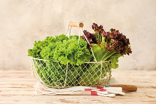 SALADE 1000000000013 