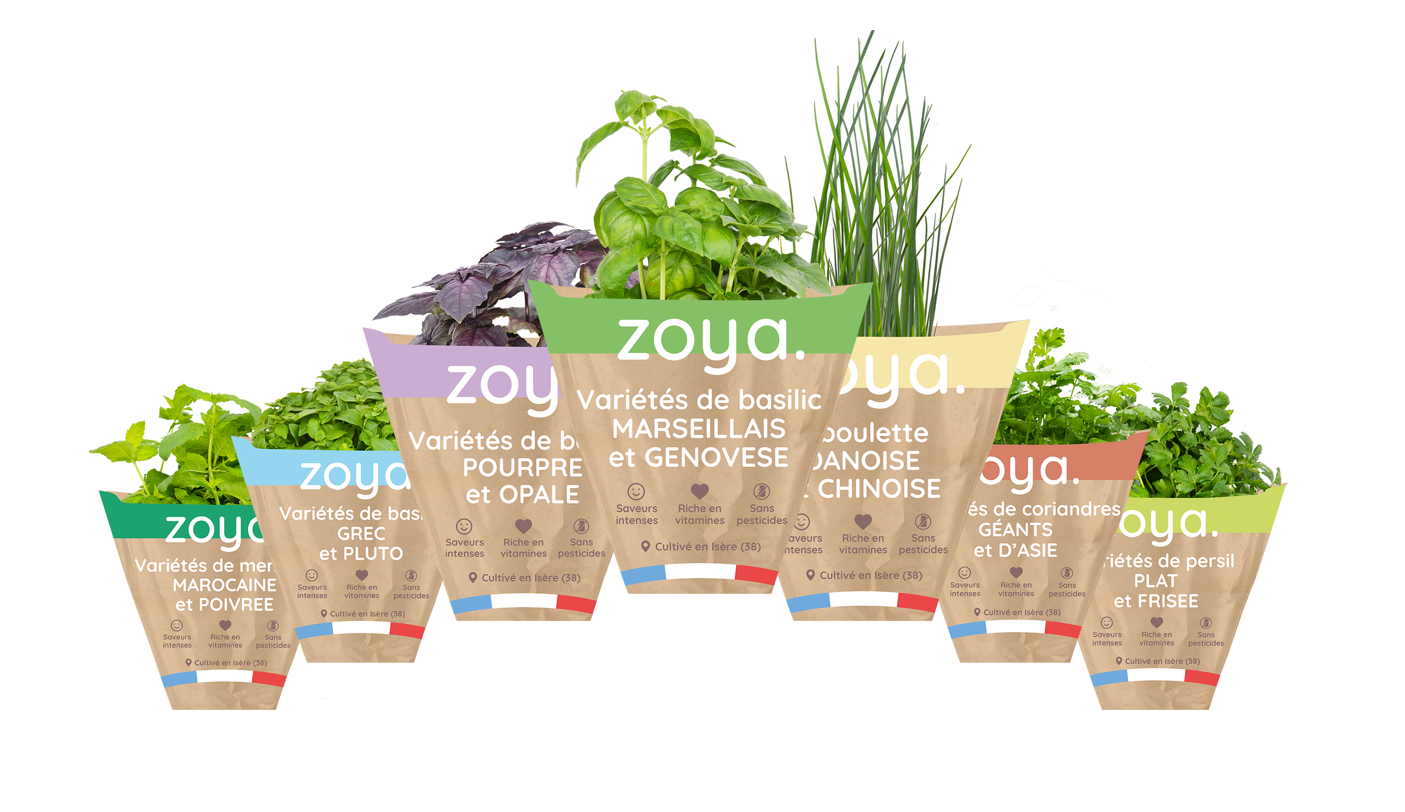 ZOYA Herbes fraîches en pot. code EAN 1000000011 