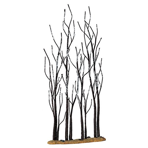 Sapins de sicomoro - stand of sycamore cod 1461...