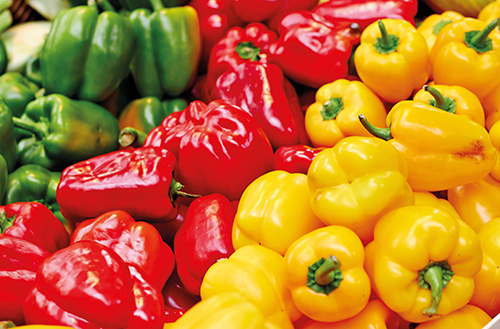  POIVRON BICOLORE code EAN 1050000000001 