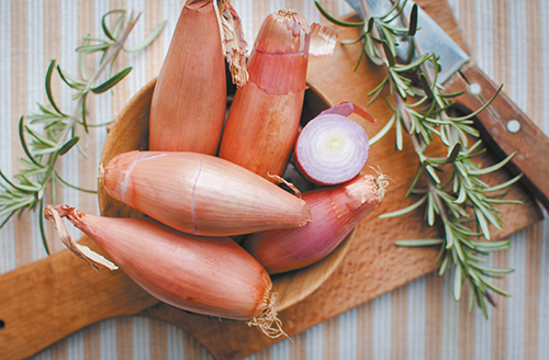  ÉCHALOTE code EAN 1050000000004 