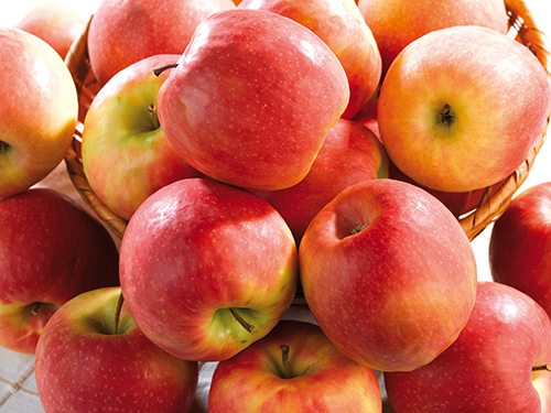  POMME PINK LADY code EAN 1050000000006 