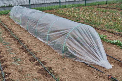 BEAUX JOURS FILM DE FORÇAGE DES CULTURES code EAN 1083246062147 