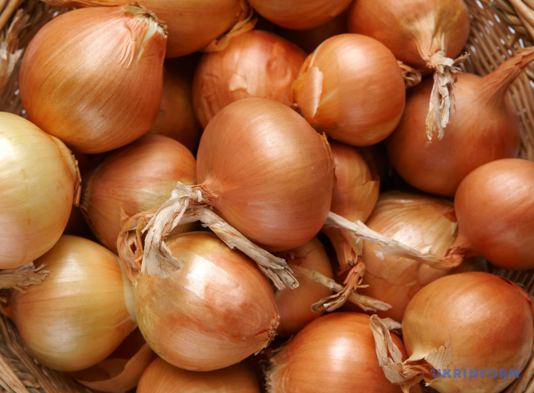  OIGNON code EAN 1100000000001 