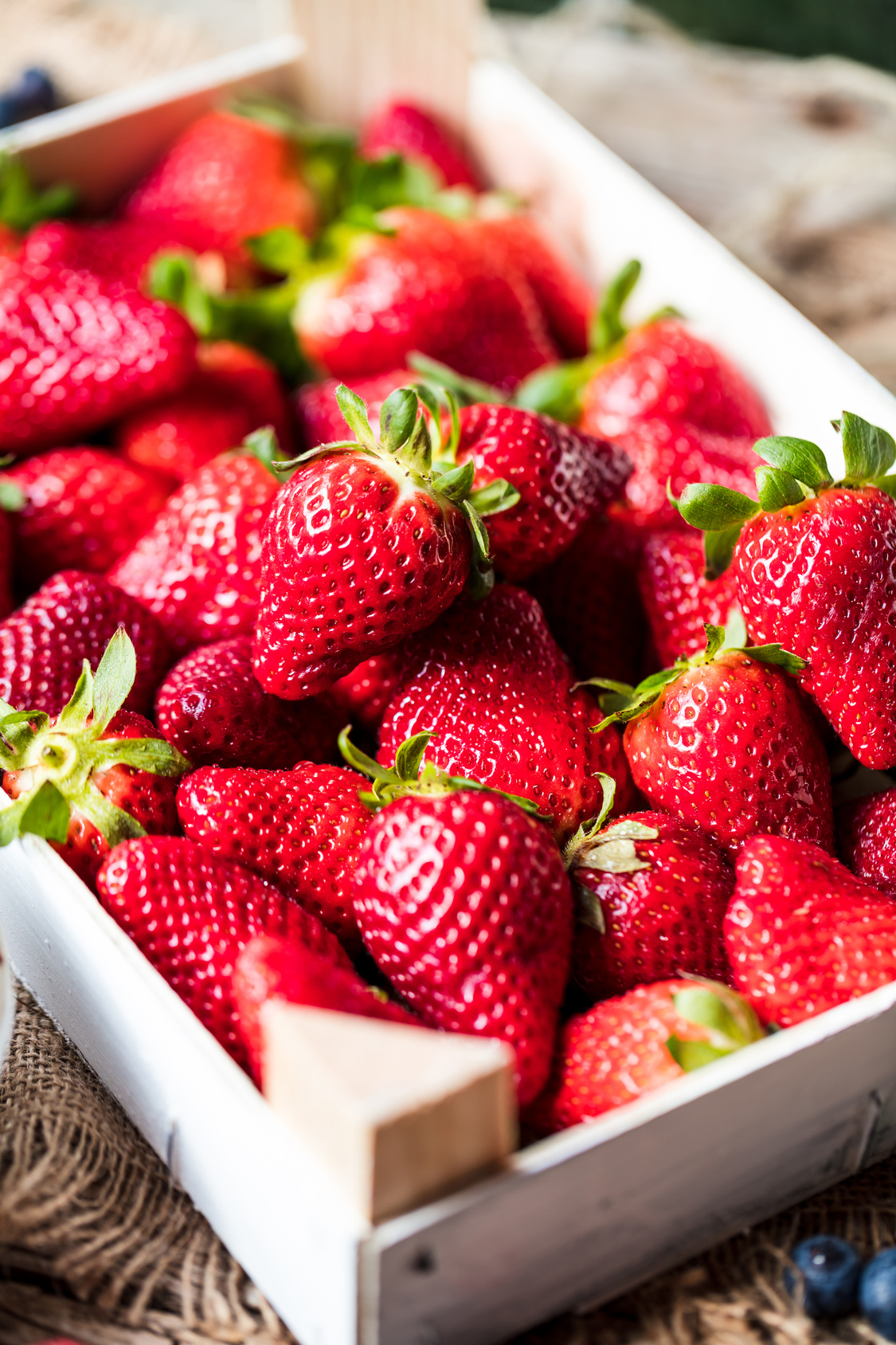  FRAISE code EAN 1100000000003 