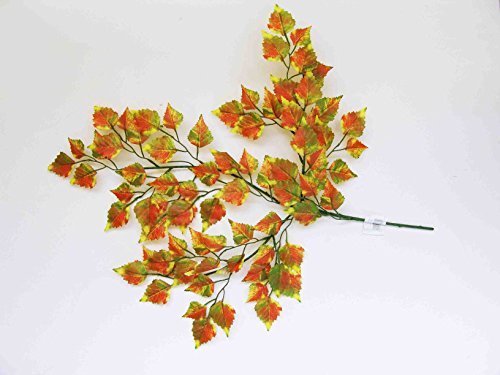 Branche de bouleau brun vert H: 65cm 80 Feuille...