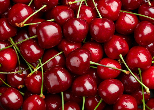 CERISE 1133036441025 CERISE 1133036441025