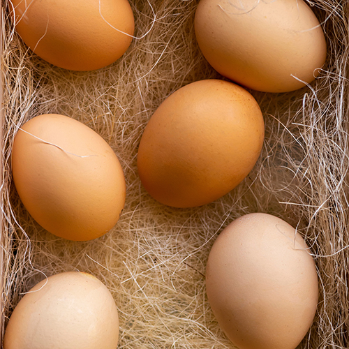 6 ŒUFS DE POULES ÉLEVÉES EN PLEIN AIR