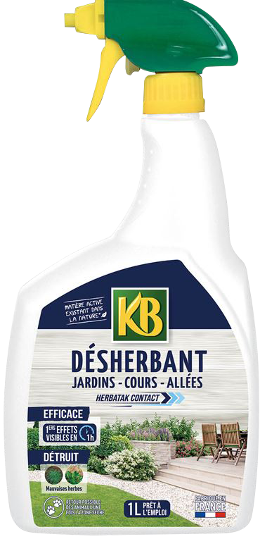 DÉSHERBANT COURS ALLÉES TERRASSES 1165310166809 