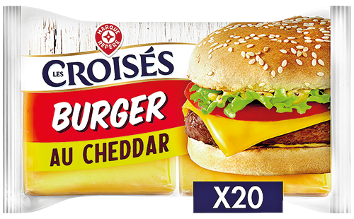 FROMAGE FONDU AU CHEDDAR SPÉCIAL BURGER 17% MAT...