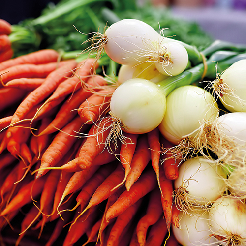  CAROTTES/OIGNONS FANE code EAN 1210138 