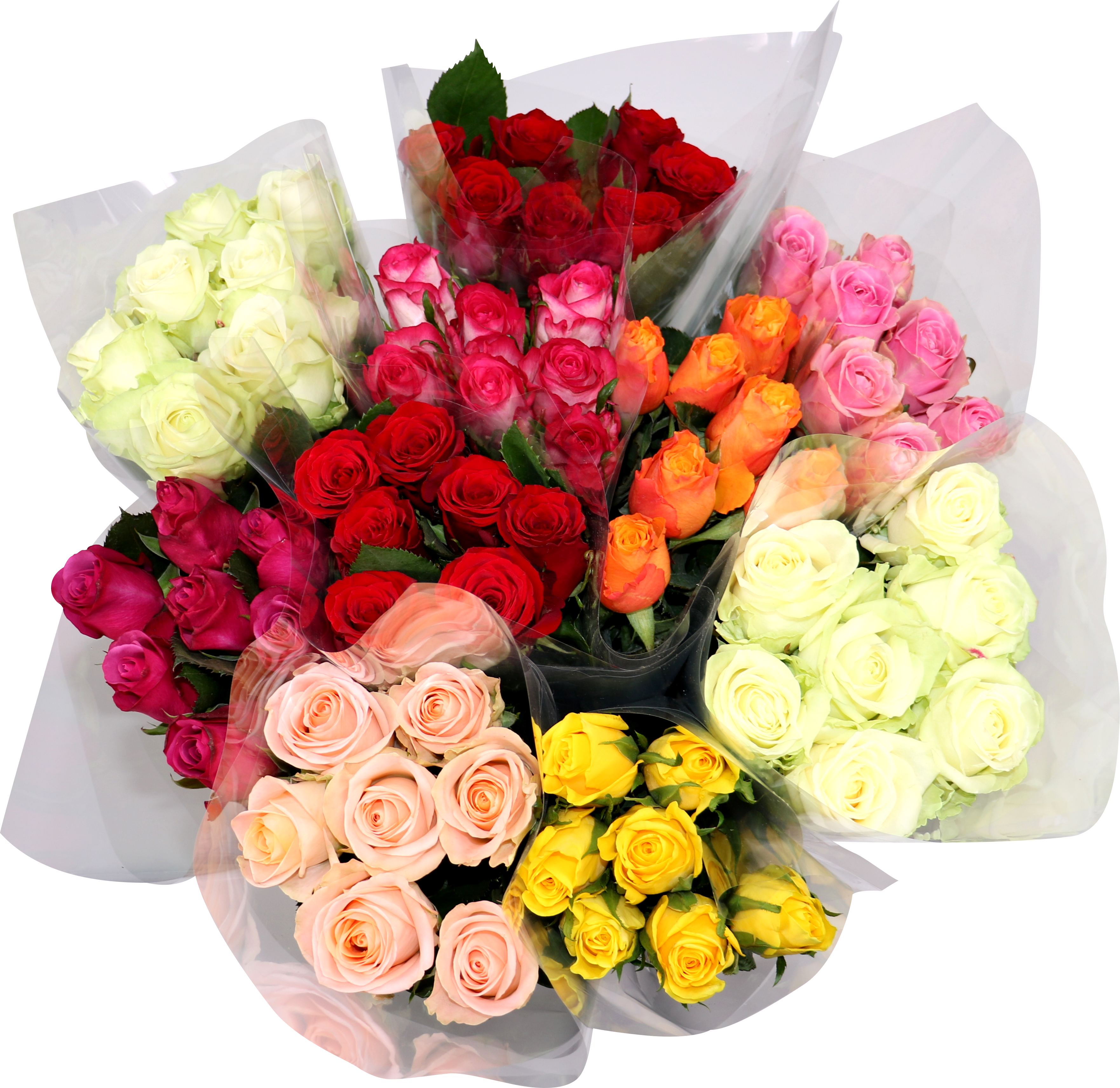  BOUQUET DE 7 ROSES 60 CM code EAN 1211234567894 