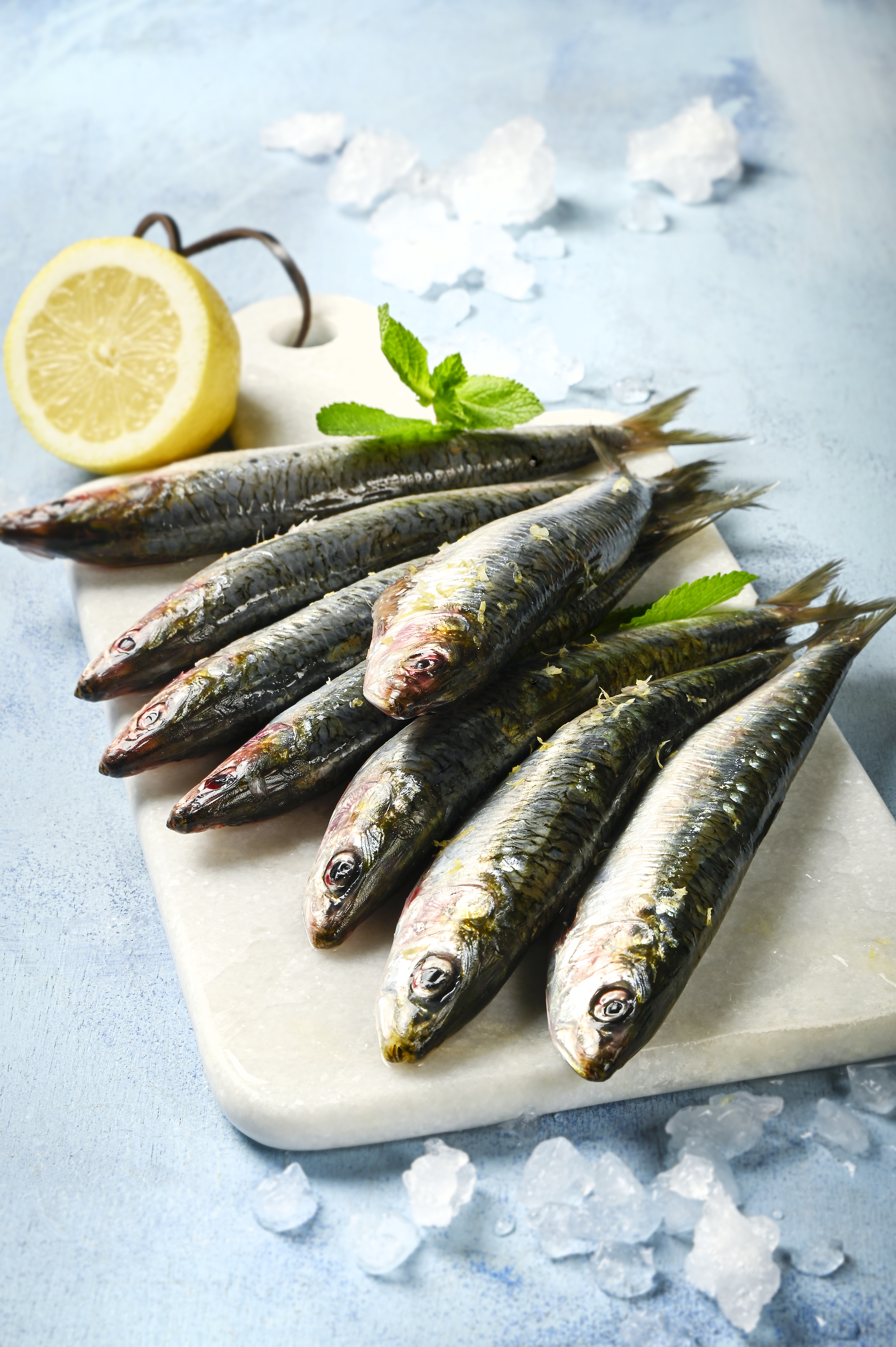  SARDINE code EAN 1212345678912 