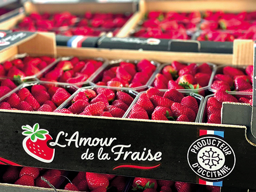 L’AMOUR DE LA FRAISE FRAISE code EAN 1233334 
