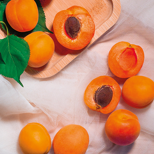 SERGE DELPOUCH ABRICOT BERGERON code EAN 1273737 